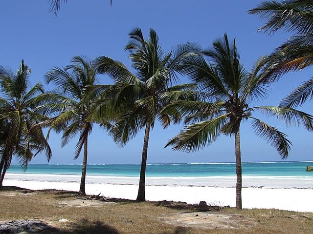 Diani Beach, Kenya (Wikimedia)