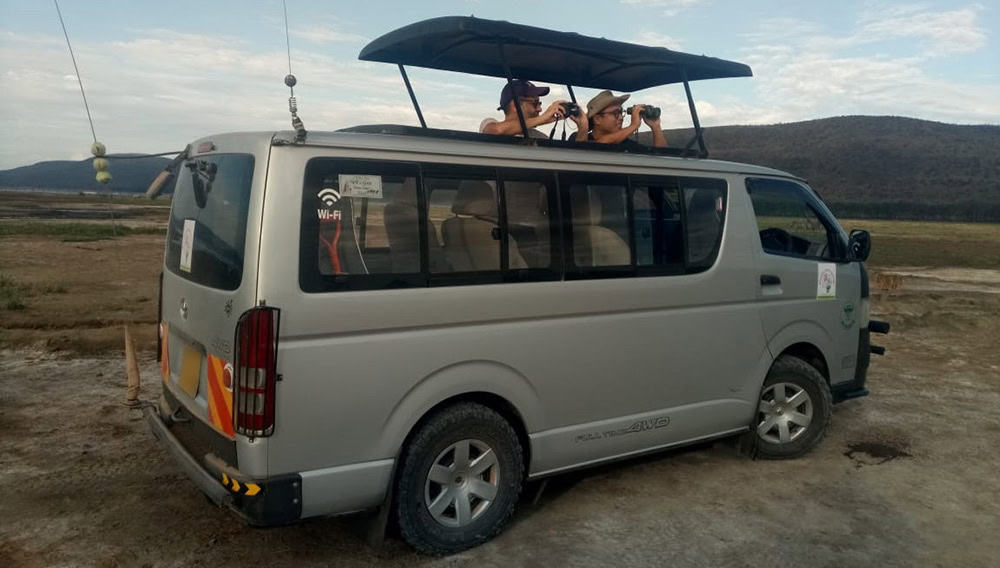 Safari mini van