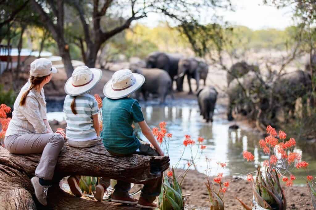 Family watching herd of elephants near watering hole