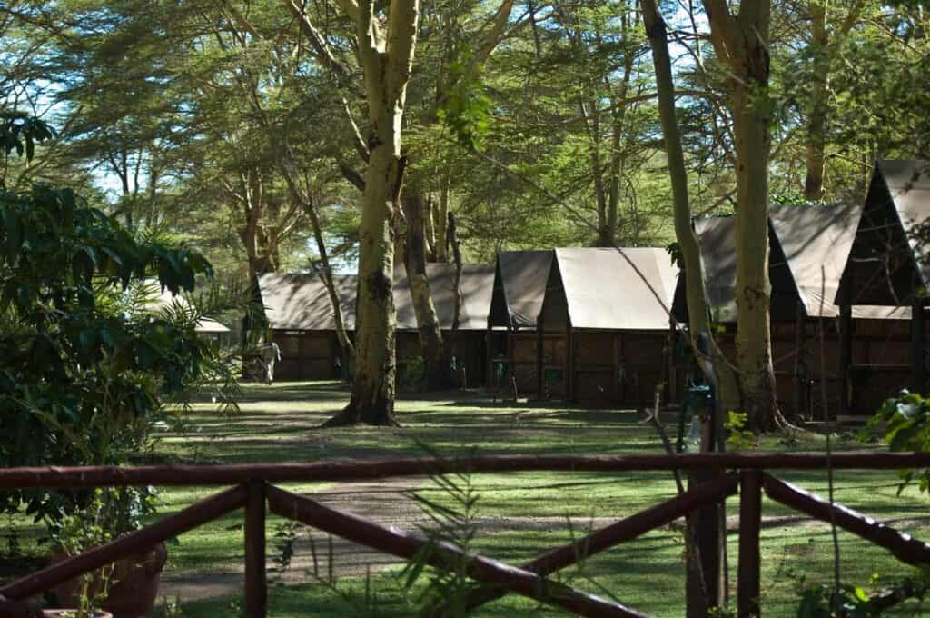 Safari camp
