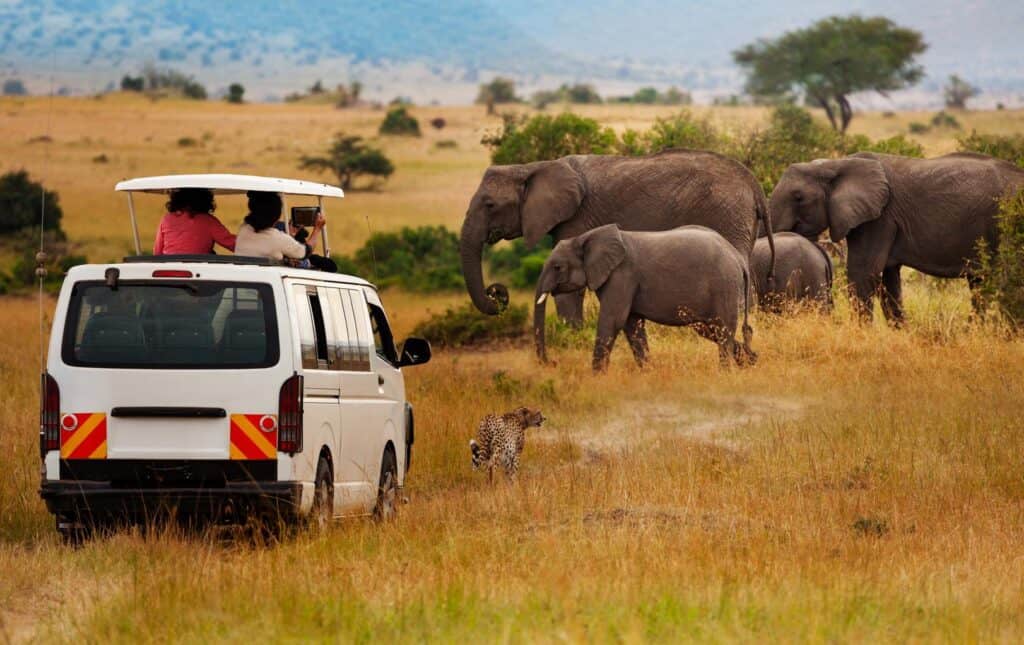 Safari game drive in safari van