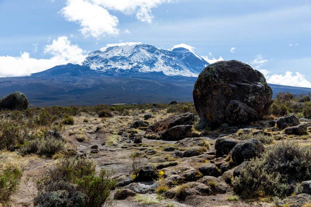 View of Mount Kilimanjaro